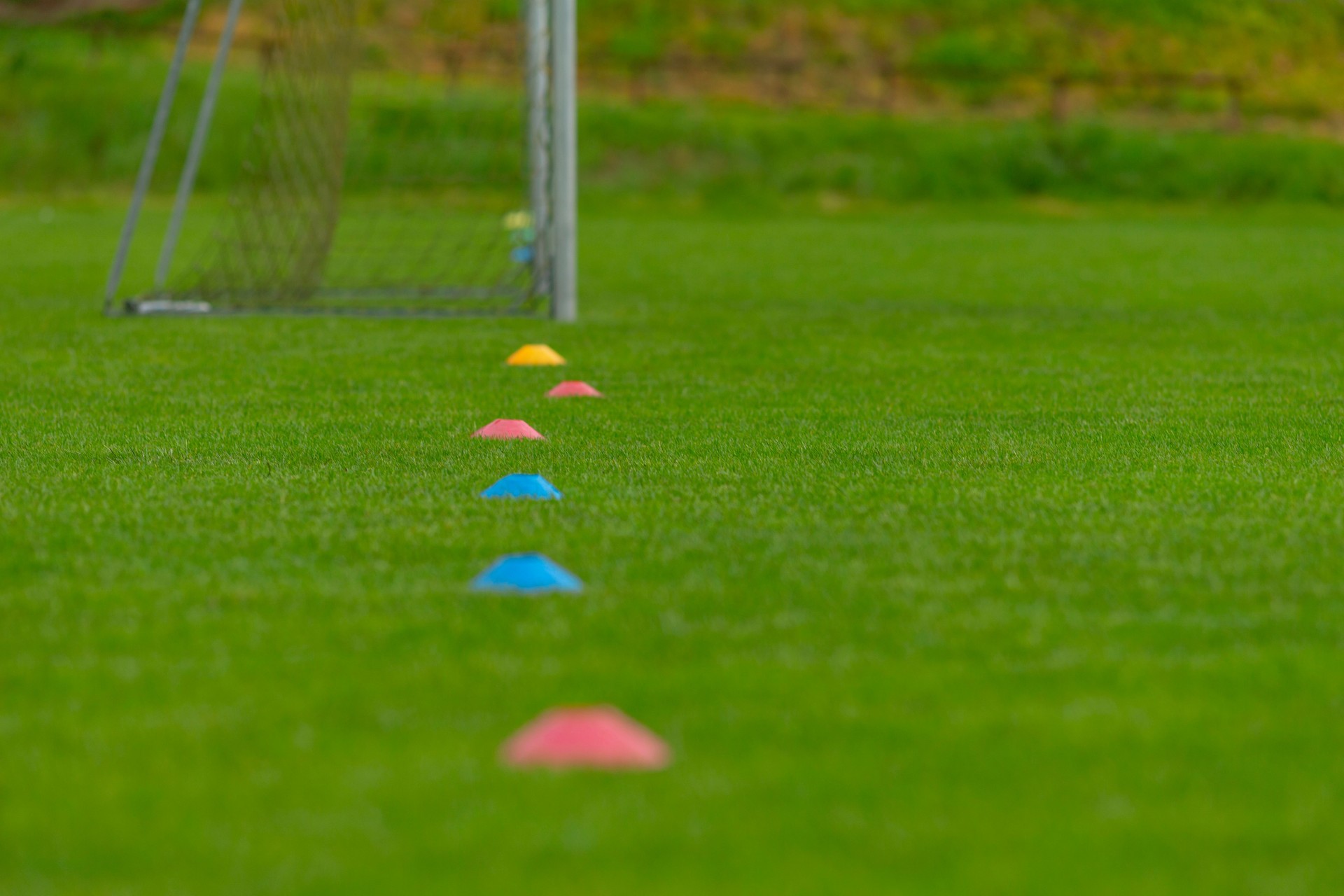 Colorful training cones positioned on the soccer field for drills